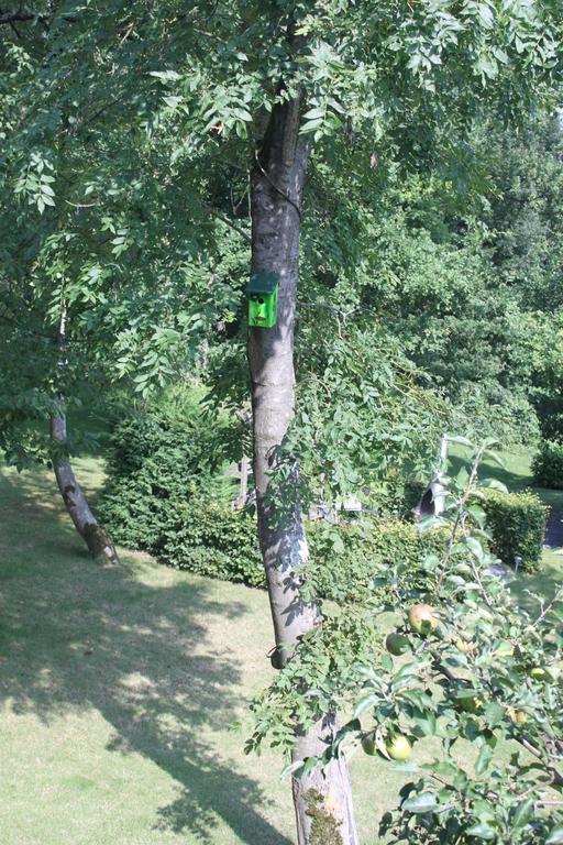 B&B Villa Roma Durbuy Εξωτερικό φωτογραφία
